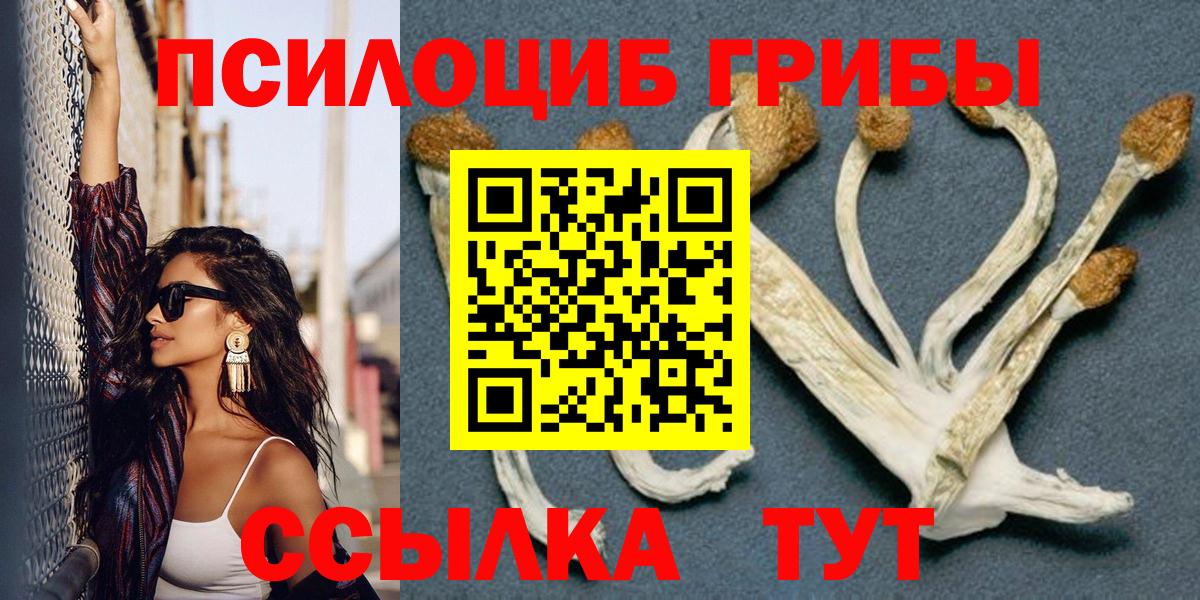 Шадринск  Галлюциногенные грибы ЛСД  Вход с VPN 